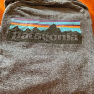 Patagonia Long Sleeved Capilene shirt